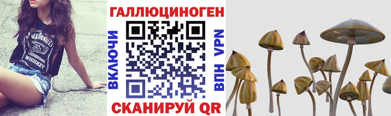 Галлюциногенные грибы Magic Shrooms  Мантурово 
